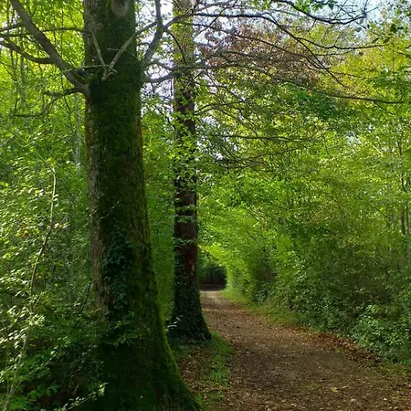 Сasa de vacaciones Les Lignons Champniers (Charente)