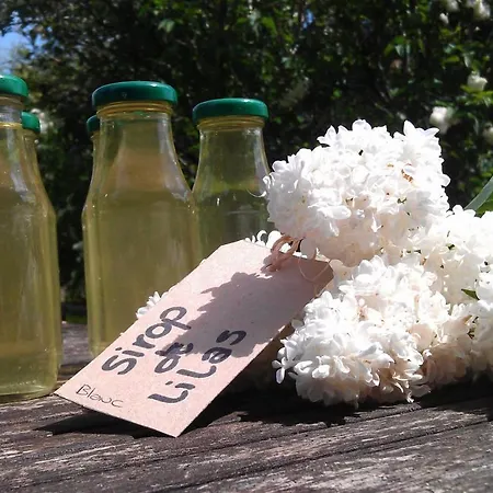 Les Lignons Dom wakacyjny *