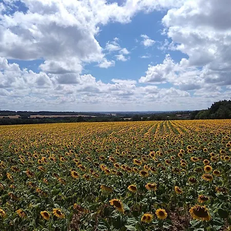 Les Lignons * Champniers (Charente)