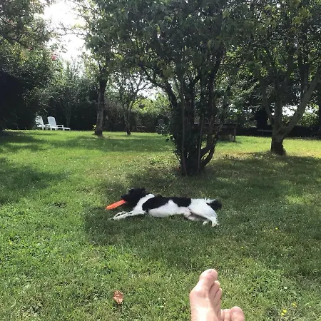 Les Lignons * Champniers (Charente)