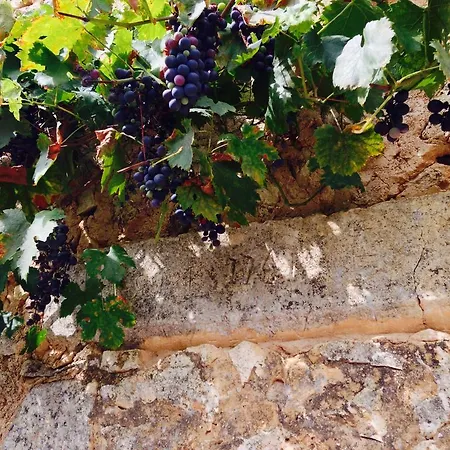 Les Lignons Champniers (Charente)