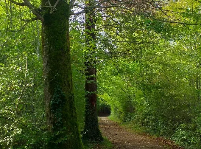 Casa de Férias Les Lignons Champniers (Charente)
