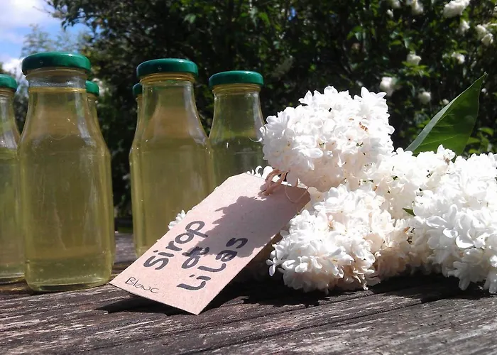 Les Lignons بيت للعطل *