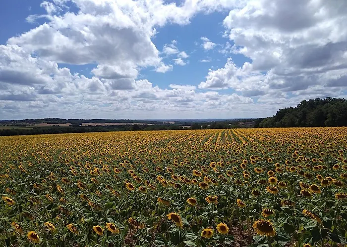 Les Lignons * Champniers (Charente)