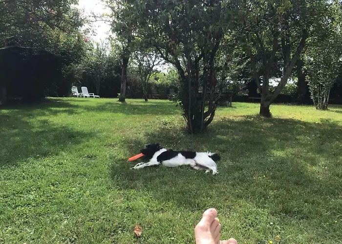 Les Lignons * Champniers (Charente)