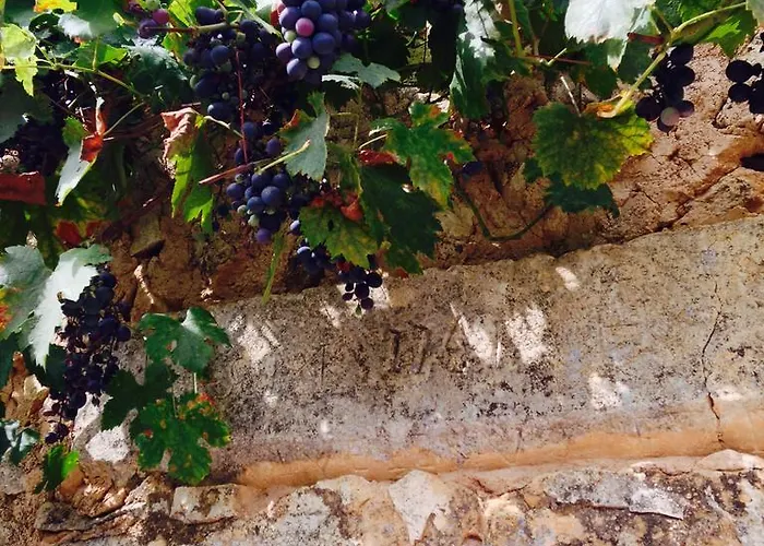 Les Lignons Champniers (Charente)