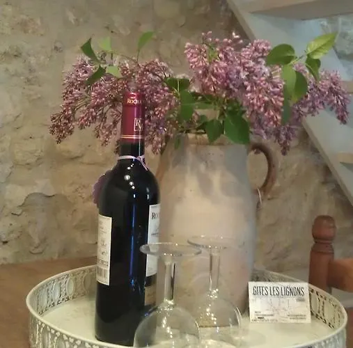 Casa de Férias Les Lignons Champniers (Charente)